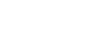 Penguin King